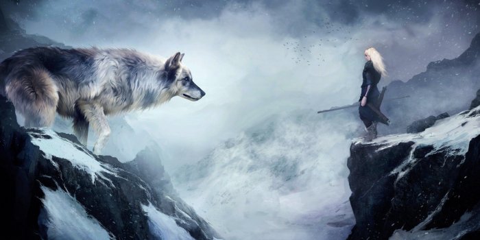 3840x2160 wolf 4K wallpapers for your desktop or mobile screen free and easy