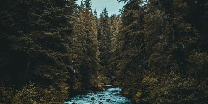 1000x1497 Wallpaper Ipad Pro 10.5 | 48 best free wallpaper, rock, cliff and