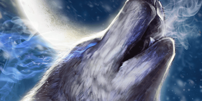 1620x2880 Howling wolf live wallpaper! | Android live wallpapers from Ahatheme