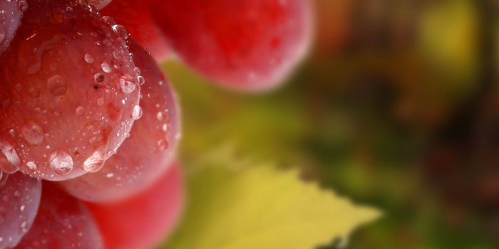 1080x1920 ☆ fruit, grapes | wallpaper hp in 2019 | Grape wallpaper, Apple