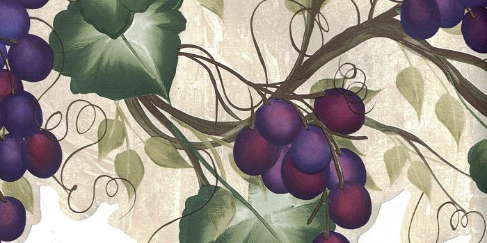 1500x1151 Wallpaper Border - Grapes Wallpaper Border 240B63992 - - Amazon.com