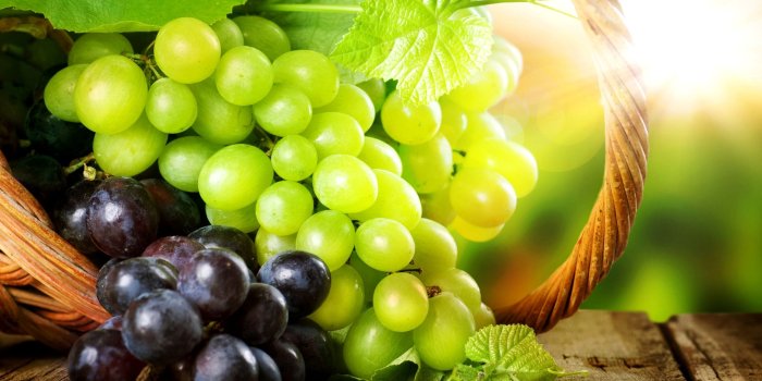 2560x1600 Grape Wallpapers PC #8P9351H | WallpapersExpert.com