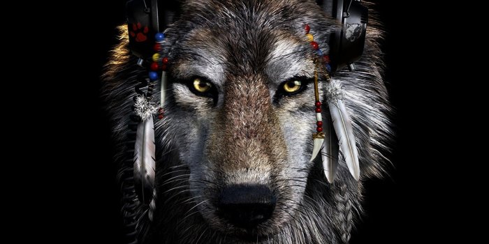 2160x1920 Indian and Wolf Wallpaper Images (64+ images)
