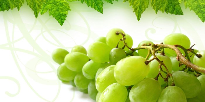 1920x1200 Green Grapes HD Wallpaper, Background Images