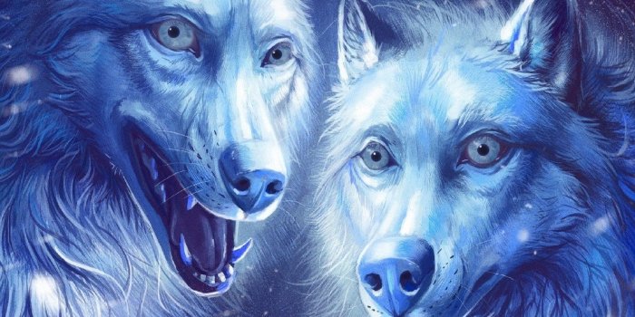 1332x850 Wallpaper fantasy, Art, two, wolves images for desktop, section арт