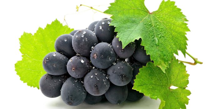 2560x1600 Grapes wallpaper Gallery