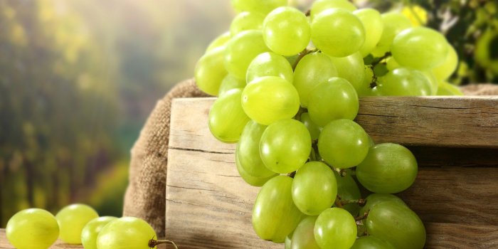 1920x1200 45 Best HD Walls of Grapes, HDQ Grapes Wallpapers