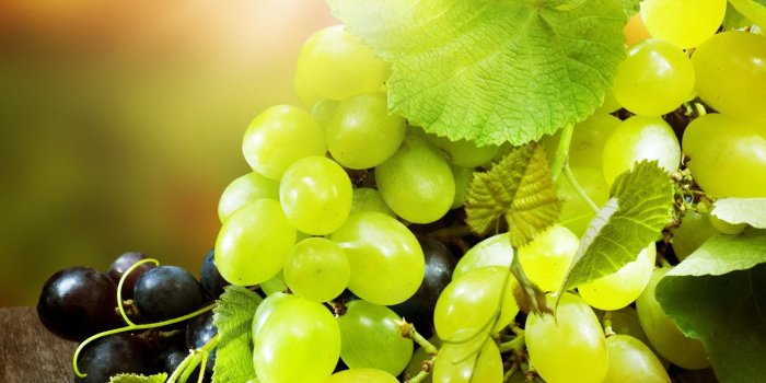 1920x1200 Grapes Wallpaper (60+) - HD Nice Wallpapers