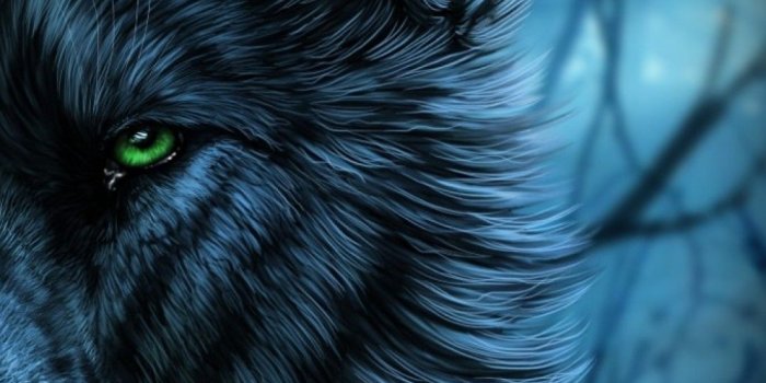 1080x1920 Wolf Wallpaper For Iphone (27+ images) on Genchi.info