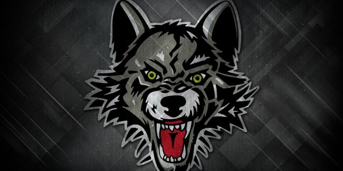 2880x1800 Free Desktop Wallpapers & Downloads - Chicago Wolves