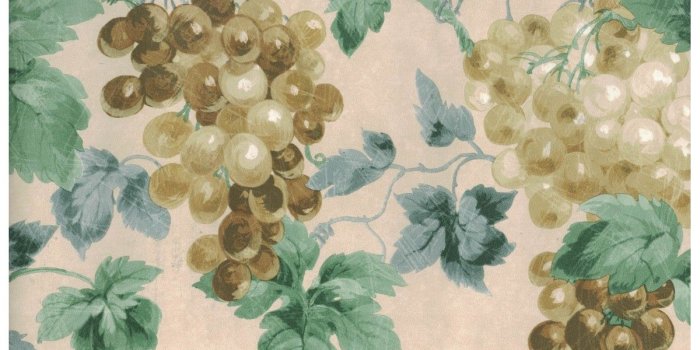 1200x900 Prepasted Wallpaper Borders - Grapes Wall Paper Border 948B75723