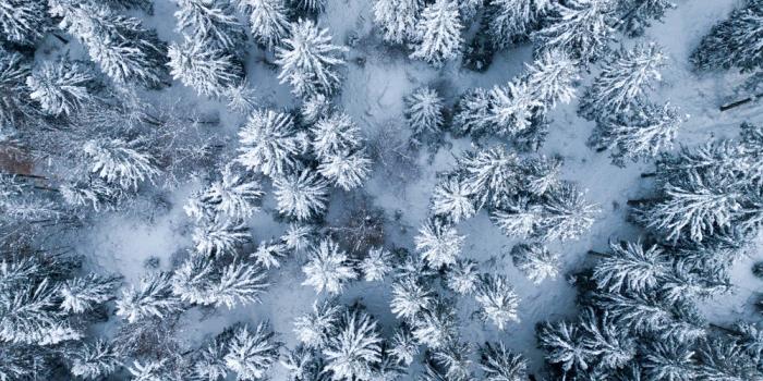 1000x1334 Ipad Pro Wallpaper Hd - Hd Wallpaper Ipad (#123898) - HD Wallpaper