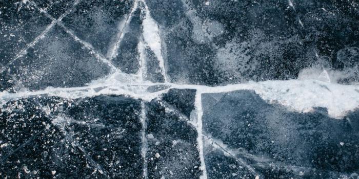 1000x1500 500+ Ice Pictures [HD] | Download Free Images on Unsplash