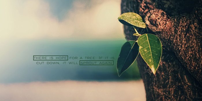 1366x768 There is Hope! | Christian Wallpapers