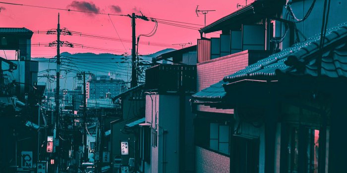 3503x5290 By Steve Roe