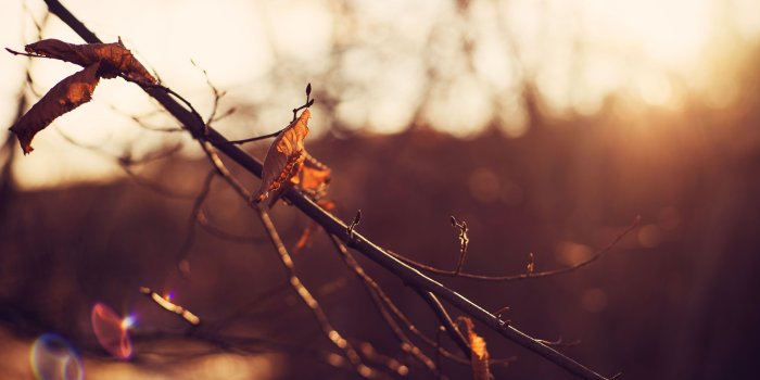 5120x3200 Hope ❤ 4K HD Desktop Wallpaper for 4K Ultra HD TV • Wide & Ultra