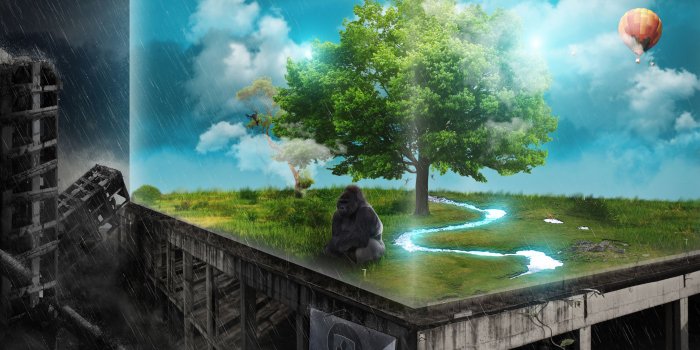 3500x2188 Hope Wallpapers | HD Wallpapers | ID #11508