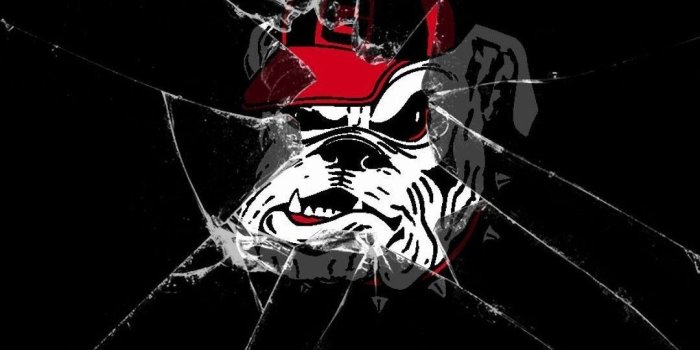 1080x1920 Georgia Bulldogs Broken Screen iPhone Wallpaper | 2019 3D iPhone