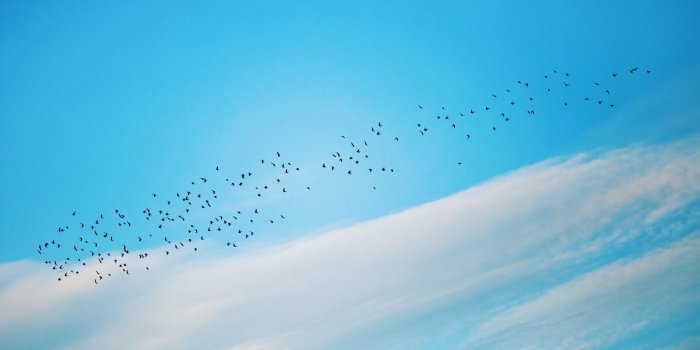 2560x1600 hope 4K wallpapers for your desktop or mobile screen free and easy