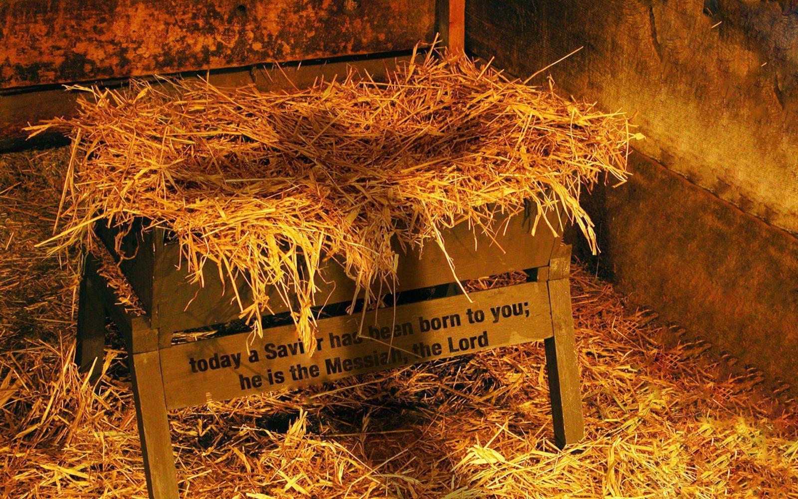 1920x1200 Manger Wallpapers