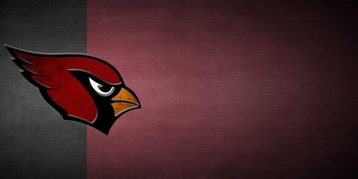 1920x1200 Arizona Cardinals Wallpapers