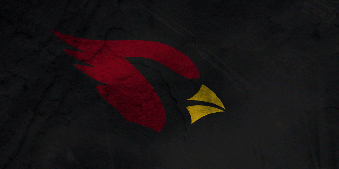 1920x1080 Arizona Cardinals wallpaper | 1920x1080 | #69109