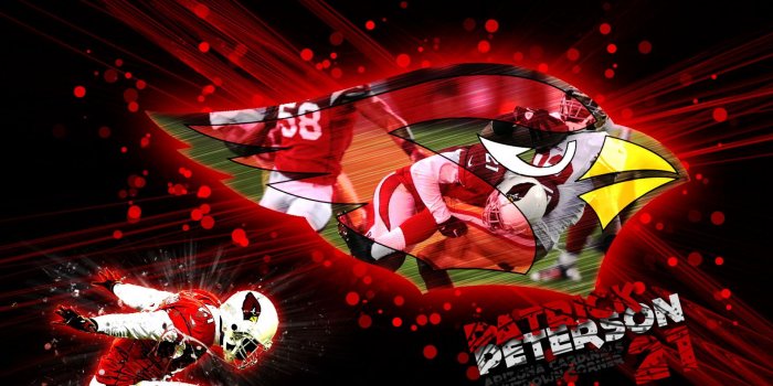 1920x1040 Download Arizona Cardinals Wallpaper | mum HD Wallpaper