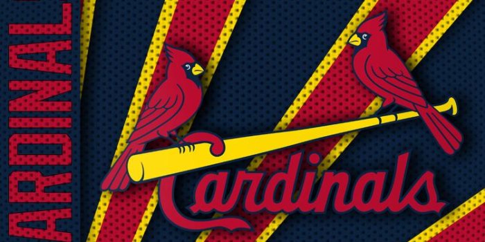 750x1334 St Louis Cardinals Iphone Wallpaper (53+), Find HD Wallpapers For Free