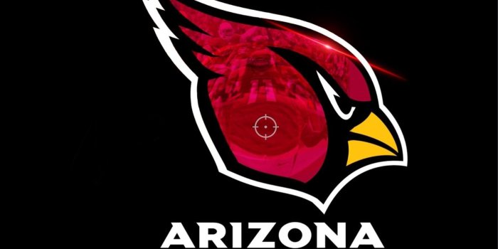 1600x900 SELLING THIS NICE CARDINALS WALLPAPER FOR 0.01 Graphics Off