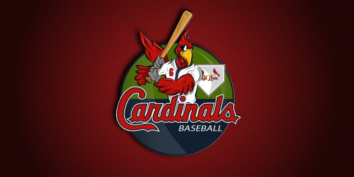 3840x2400 St. Louis Cardinals 4k Ultra HD Wallpaper | Background Image