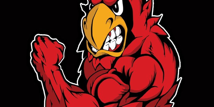 2205x2205 Louisville Cardinals Wallpaper Group (65+), Download for free