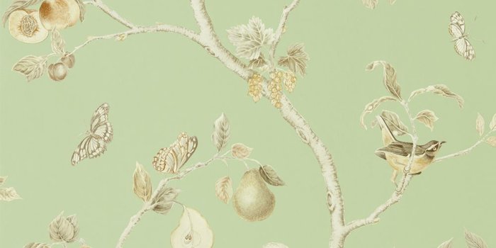 1000x1116 Fruit Aviary by Sanderson - Sage / Neutral - Wallpaper - 216311