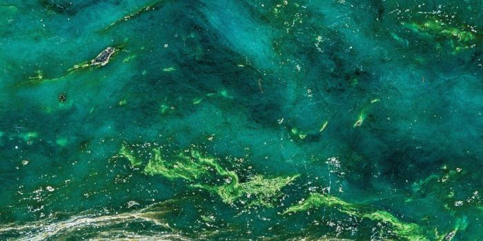 1650x1100 Jade Gemstone Wallpaper Mural | MuralsWallpaper