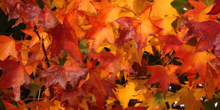 1920x1080 Best 44+ Outclass Wallpaper on HipWallpaper | Outclass Wallpaper,