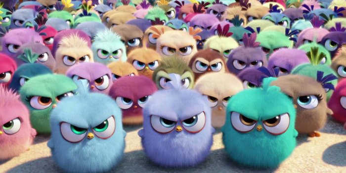 1876x1036 4K Angry Birds Wallpapers High Quality | Download Free