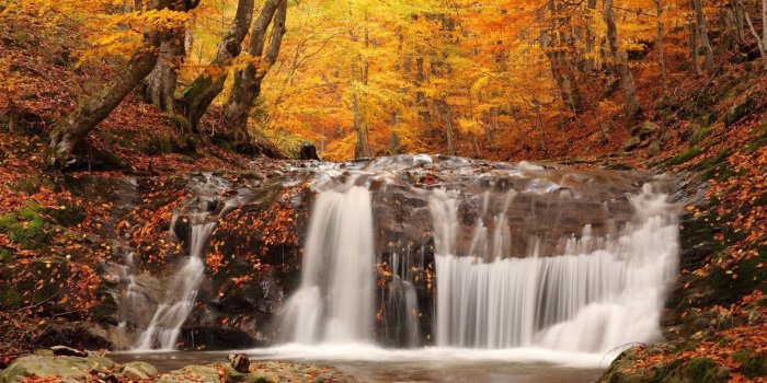1920x1080 Free HD Fall Wallpapers make your screen shine brighter
