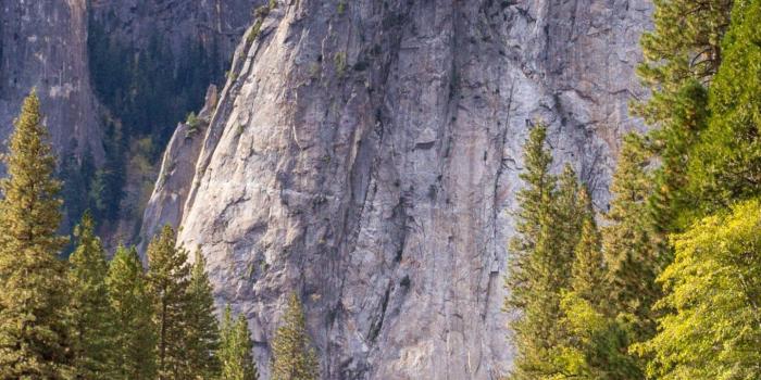 1440x2560 Mountain Trees Wallpaper - iPhone, Android & Desktop Backgrounds