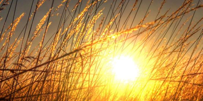 1024x1024 50+ Tall Sunset Wallpapers - Download at WallpaperBro