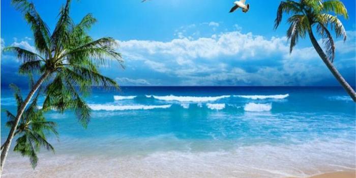 1000x800 US $9.0 40% OFF|beibehang Creative fashion nostalgia silk cloth wallpaper  tall coconut trees blue sea scenery 3d wallpaper papel de parede-in