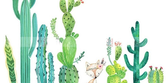 1100x1100 Stazsx Plant Wall Stickers Cactus Wallpaper Living Room Bedroom Corridor  Wall Stickers Wallpaper Wall Paintings