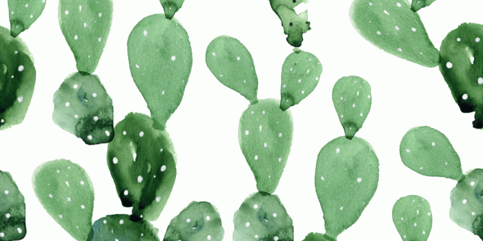 1024x1023 Cactus Wallpaper (Self-Adhesive)
