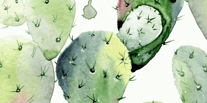 1080x1080 Pierce Cactus Wallpaper