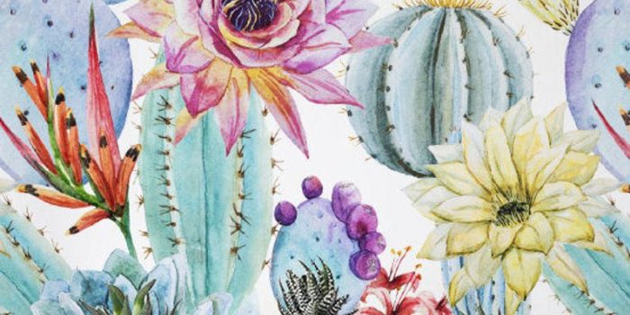 794x1058 Watercolor Cactus Wallpaper, Removable Wallpaper, Self-adhesive Wallpaper,  Floral Wall Décor, Flower Wallcovering - JW019