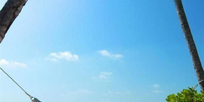 1080x1920 tall beauty wallpaper Gallery