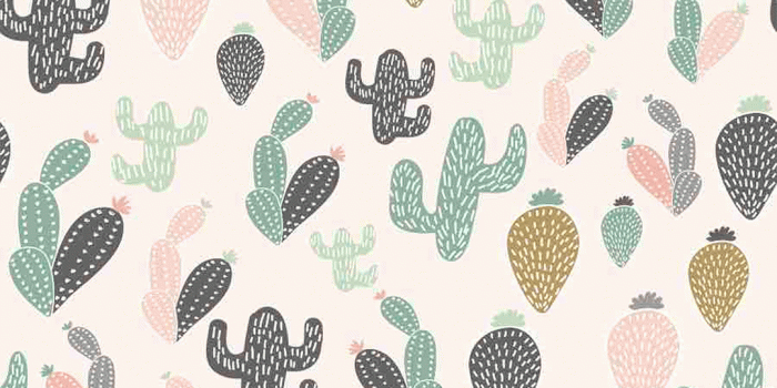 1080x1080 Zora Cactus Wallpaper