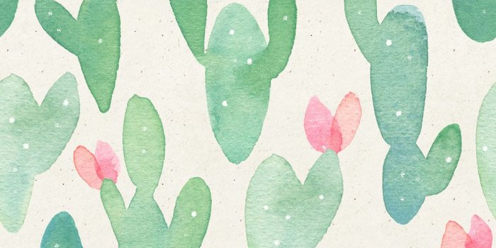1000x3000 Mclea Removable Watercolor Cactus Flowers 4.17' L x 25