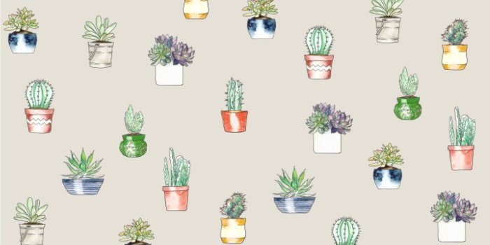 1500x1500 Amazon.com: RNK Shops Cactus Wallpaper & Surface Covering (Peel