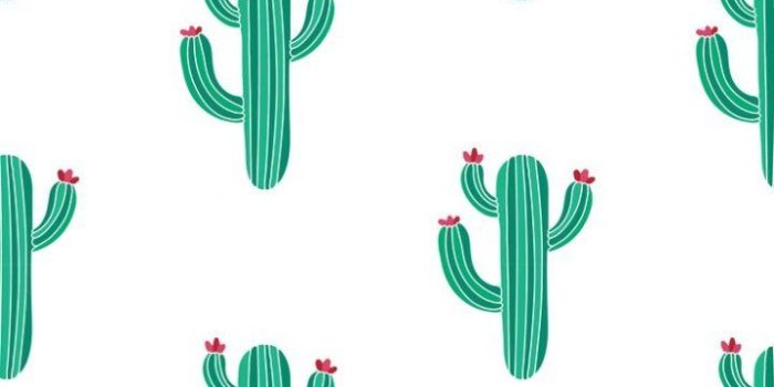 720x1281 Cactus Wallpaper Design I Made by University Tees Design Team