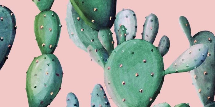 1587x2268 Cactus Wallpaper, cactus, wallpaper, watercolor wallpaper