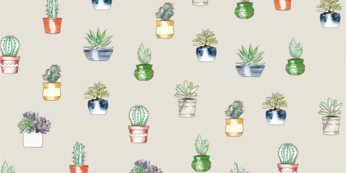 1500x1500 Amazon.com: RNK Shops Cactus Wallpaper & Surface Covering (Water